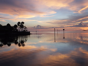 Serene Sunset Over Calm Ocean with Palm Tree Silhouettes