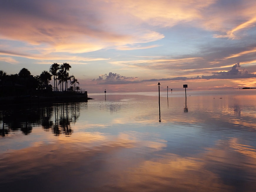 Serene Sunset Over Calm Ocean with Palm Tree Silhouettes
