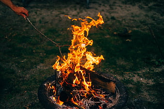 Hand Roasting Marshmallow Over Campfire at Night