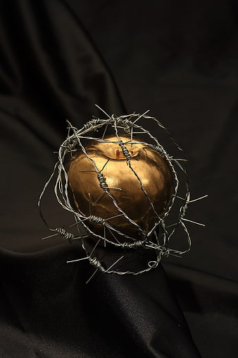 Golden apple wrapped in barbed wire on black background