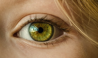 Extreme Close-Up of a Green Human Eye