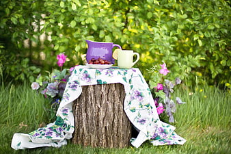 Rustic summer tea party setup on tree stump in garden