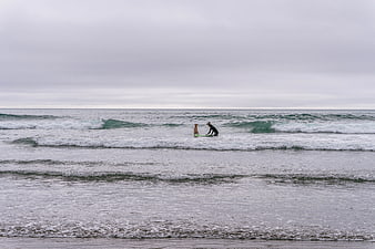 Surfer and Dog on Surfboard in Ocean Waves