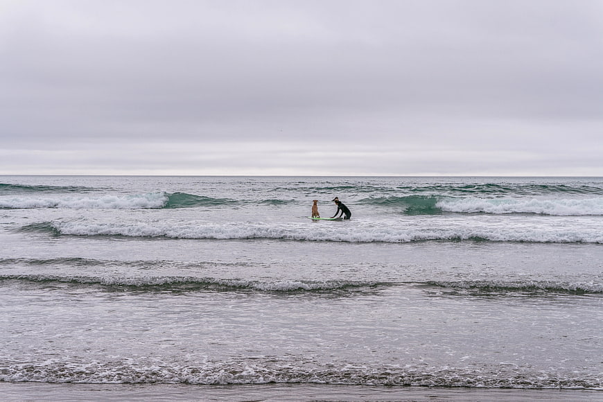 Surfer and Dog on Surfboard in Ocean Waves