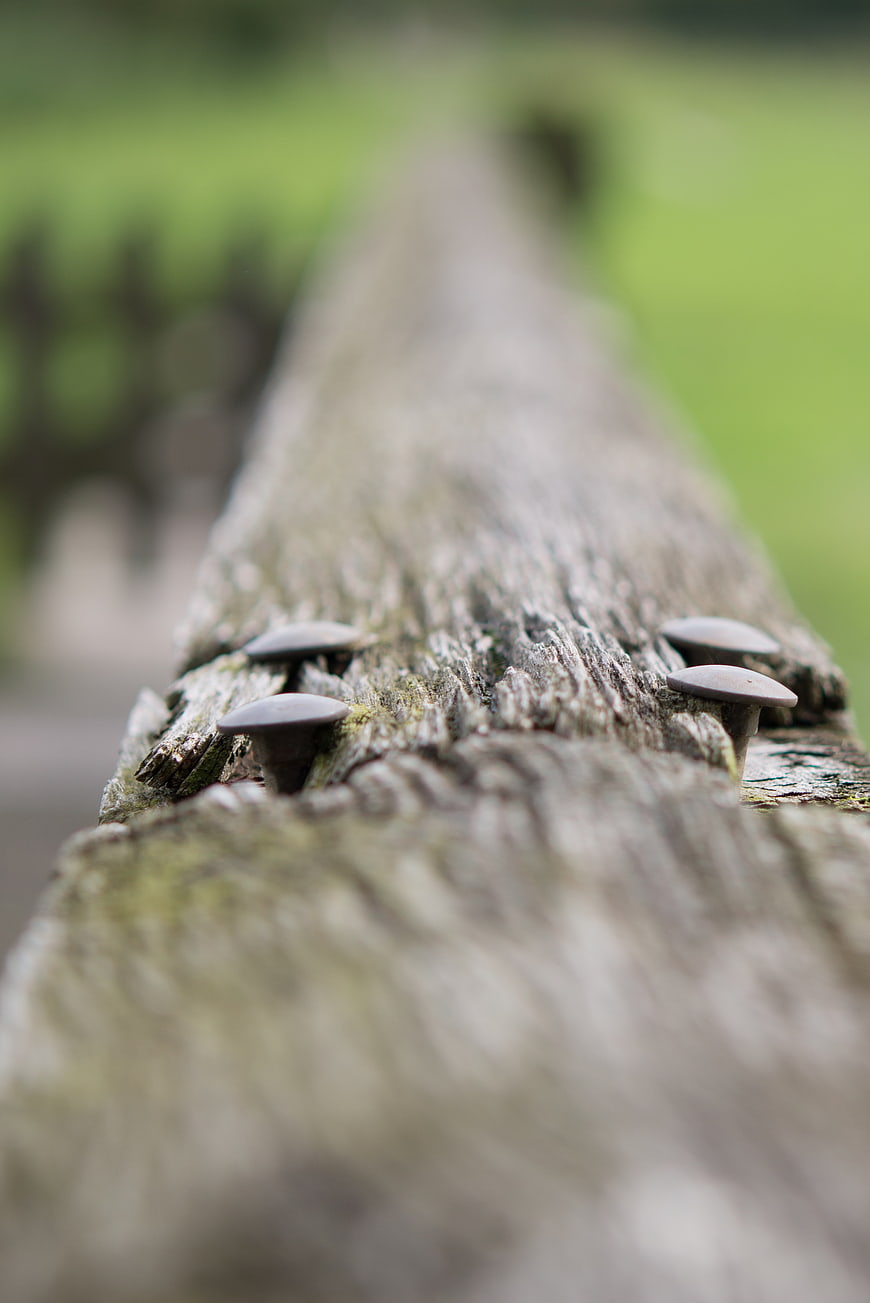Close-up of rusty nails in weathered wooden fence post