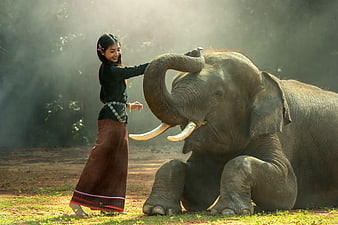 Woman in Traditional Dress Interacting with Seated Elephant