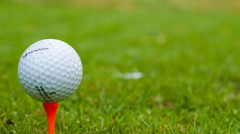 Golf Ball On Orange Tee Against Blurred Green Grass Background