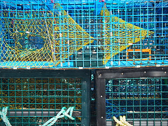 Stacked blue and green lobster traps with yellow netting