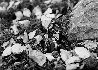 Vintage Olympus Film Camera on Forest Floor Leaves