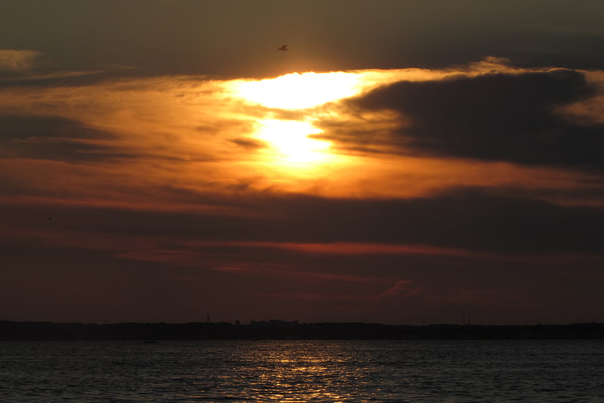 Dramatic Sunset Over Water with Silhouette of Bird