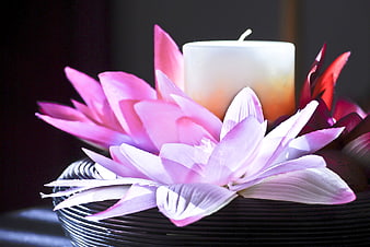 Pink Lotus Flower and Candle in Black Bowl