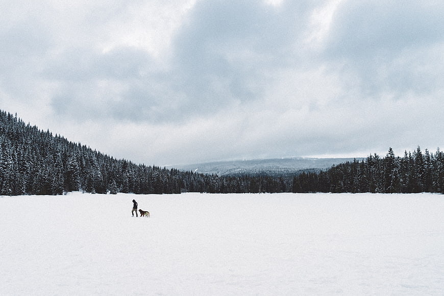 Man Walking Dog in Snowy Winter Forest Landscape