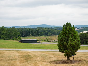 Rural Landscape with Pine Tree, Pipes, and Distant Mountains