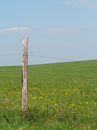 Weathered wooden fence post in a green meadow with barbed wire
