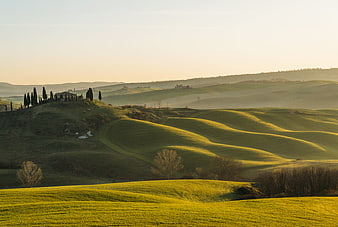 Rolling Green Hills of Tuscany at Sunrise with Cypress Trees