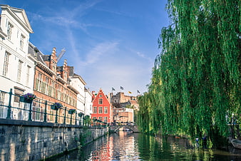 Scenic Canal in Ghent, Belgium with Historic Buildings and Weeping Willow