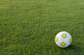 Soccer ball resting on a green grass field