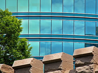 Modern Blue Glass Office Building with Stone Wall and Tree