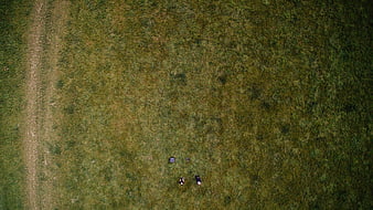 Aerial view of two people relaxing on a green meadow