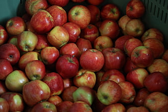 Fresh Red and Yellow Apples in a Green Crate
