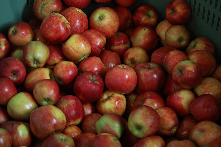 Fresh Red and Yellow Apples in a Green Crate