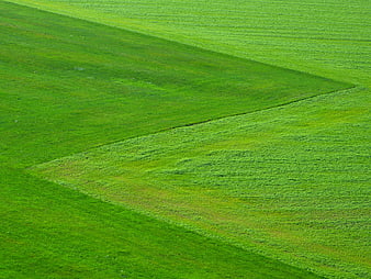 Abstract Green Grass Field with Diagonal Patterns