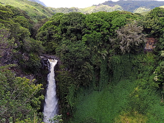 Tropical waterfall cascading through lush green rainforest