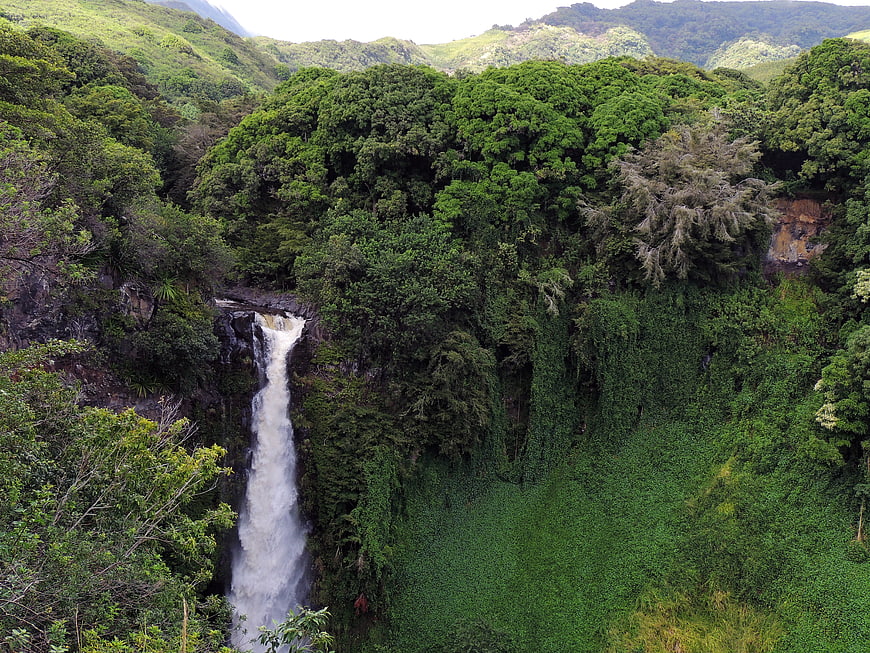 Tropical waterfall cascading through lush green rainforest