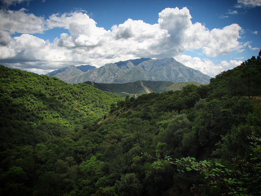 Scenic Mountain Valley with Lush Green Forest and Cloudy Sky