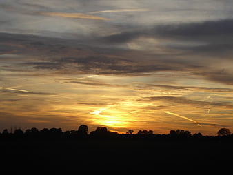 Dramatic golden sunset over dark tree silhouette landscape