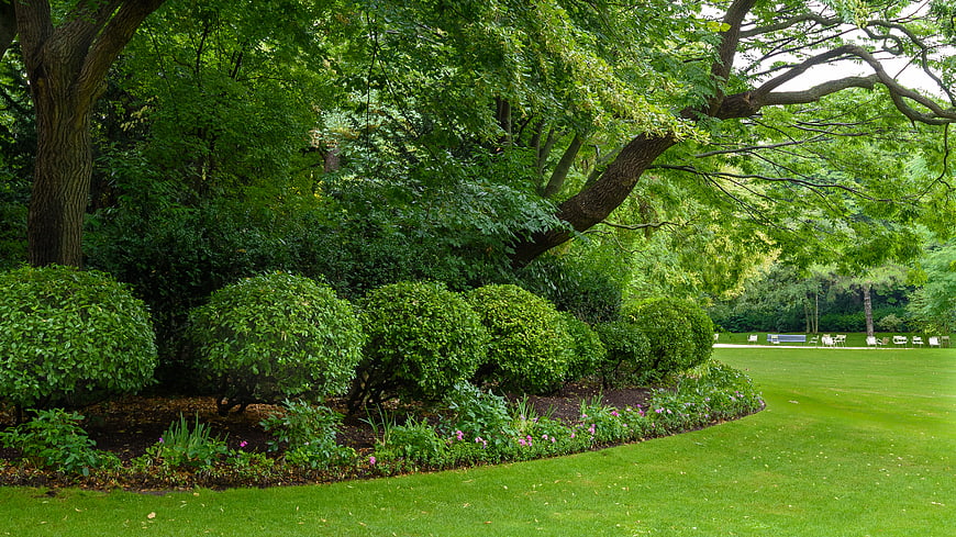 Lush Green Park with Manicured Bushes and Trees