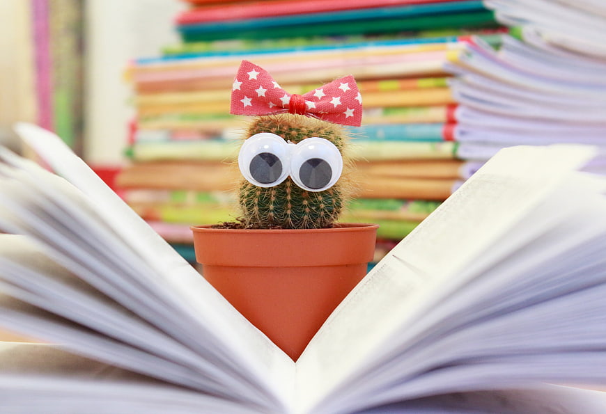 Cute Cactus with Googly Eyes and Bow Reading a Book