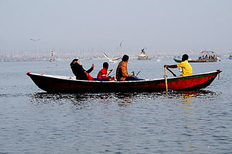 Family Feeding Seagulls on Wooden Boat in Harbor