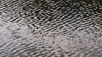 Abstract water surface texture with ripples and reflections