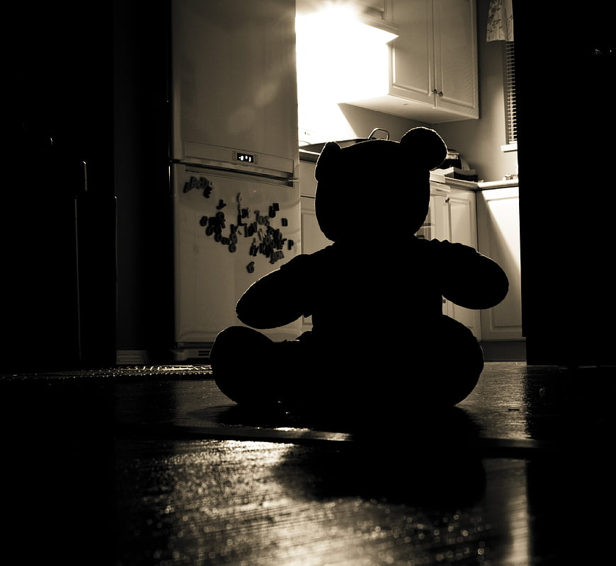 Silhouette of Teddy Bear in Dark Kitchen