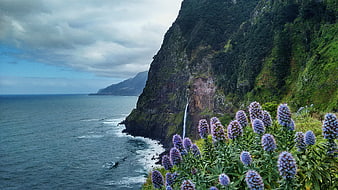 Coastal Landscape with Purple Flowers and Waterfall