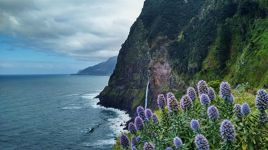 Coastal Landscape with Purple Flowers and Waterfall