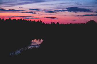 Vibrant Pink and Purple Sunset Sky Over Silhouetted Forest