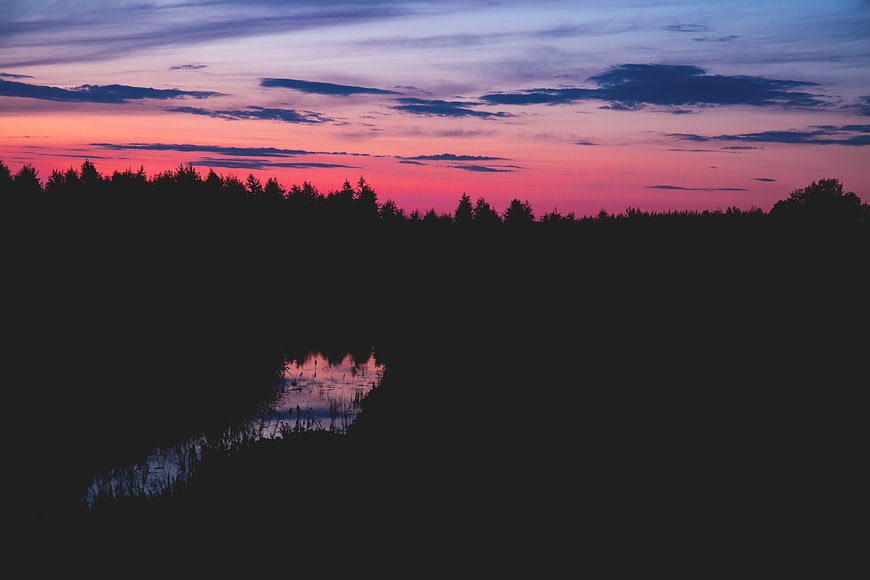 Vibrant Pink and Purple Sunset Sky Over Silhouetted Forest