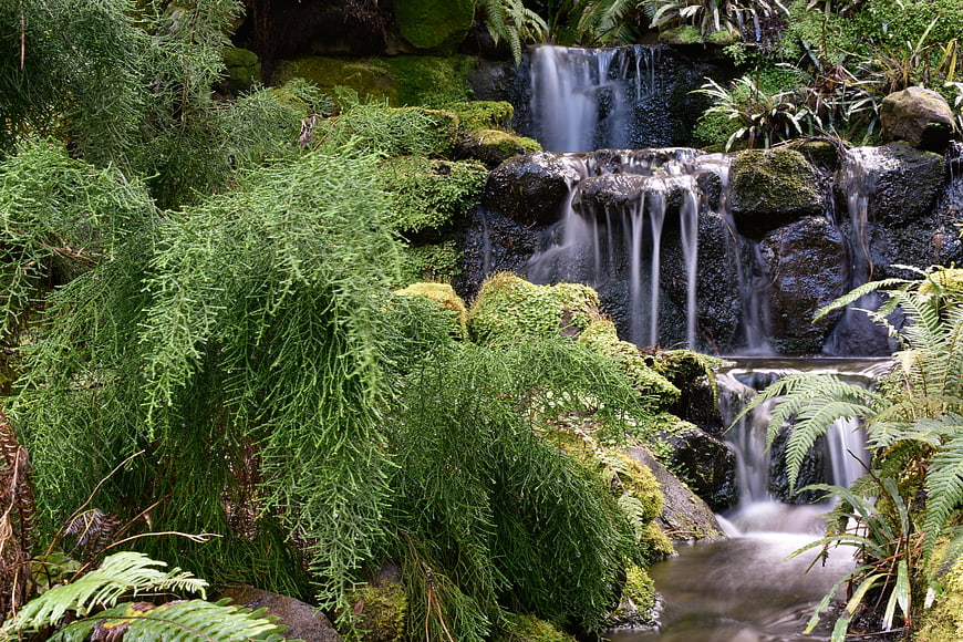 Lush Green Ferns And Mossy Rocks Surrounding A Small Waterfall