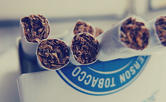 Close-up of rolled tobacco cigarettes on a box