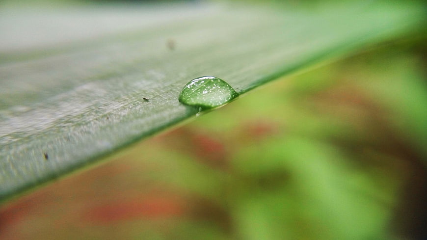 Macro water droplet on green leaf with blurred background