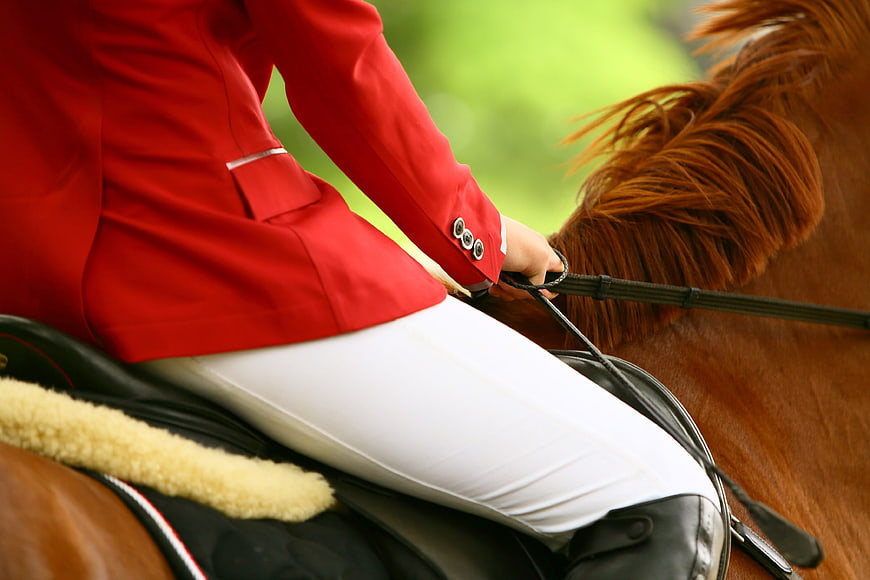 Equestrian Rider in Red Jacket on Brown Horse