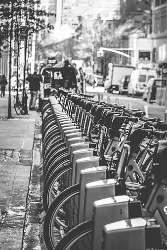 Black and white row of city bicycles on urban street