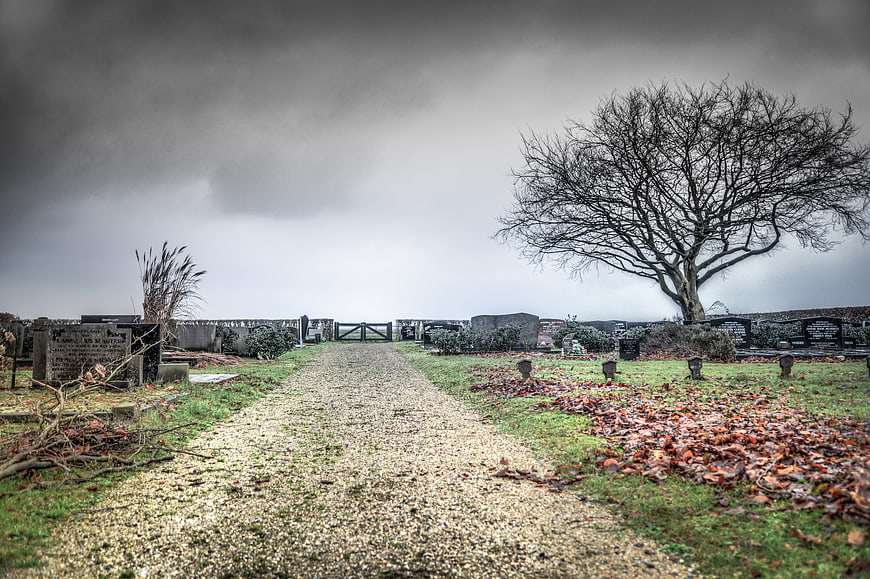 Atmospheric Old Cemetery Path with Bare Tree and Tombstones