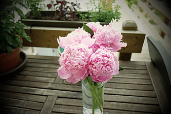 Pink Peonies in Glass Vase on Wooden Deck