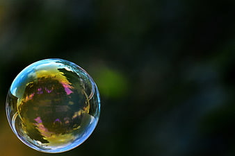 Iridescent soap bubble with nature reflection on dark background
