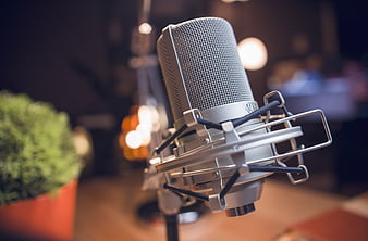 Professional Studio Condenser Microphone Close-Up