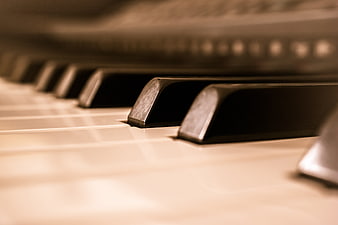Close-up of piano keys with shallow depth of field