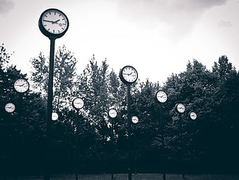 Black and White Clocks in a Forest